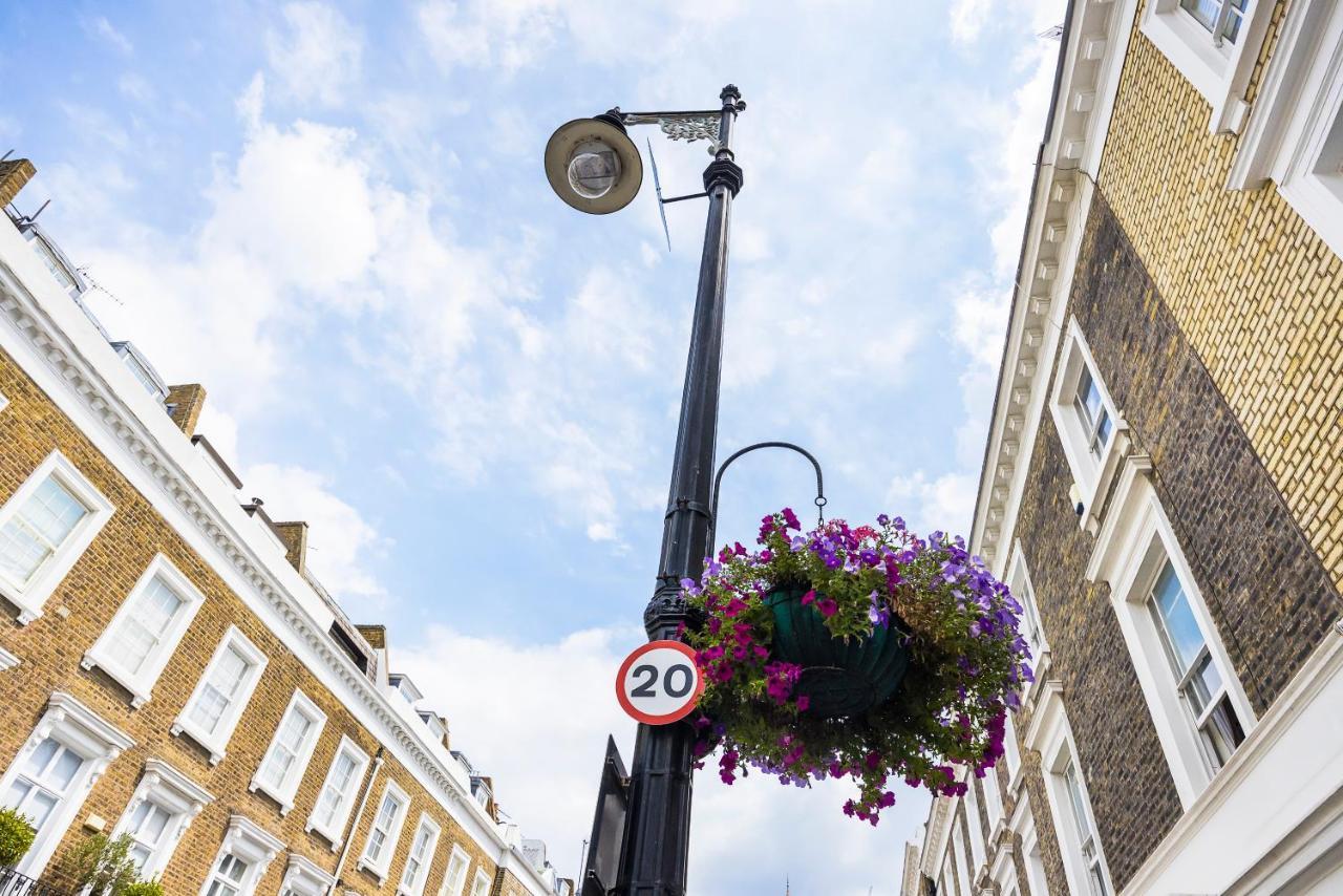 Pimlico Hub Londra